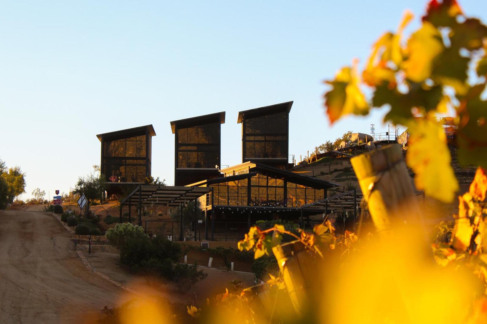 Origen75 Loft - Villas - Skypool - Vinedo, Valle De Guadalupe Eksteriør bilde
